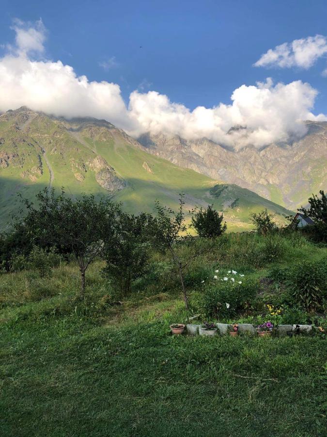 Mikheil Pitskhelauri Guest House Kazbegi Exteriör bild